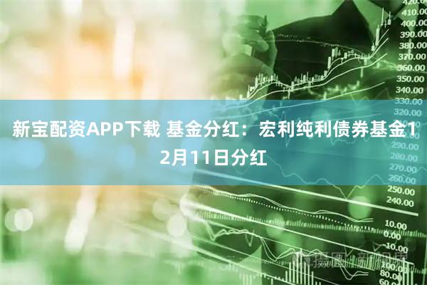 新宝配资APP下载 基金分红：宏利纯利债券基金12月11日分红