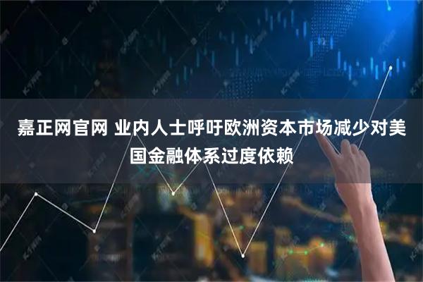 嘉正网官网 业内人士呼吁欧洲资本市场减少对美国金融体系过度依赖